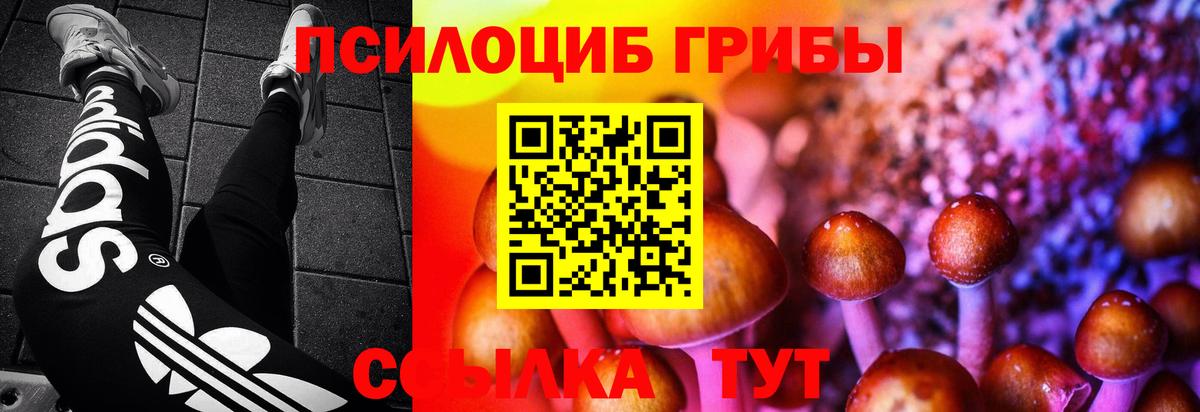 Ростов Великий  Галлюциногенные грибы MAGIC MUSHROOMS  купить  цена  Вход с VPN 